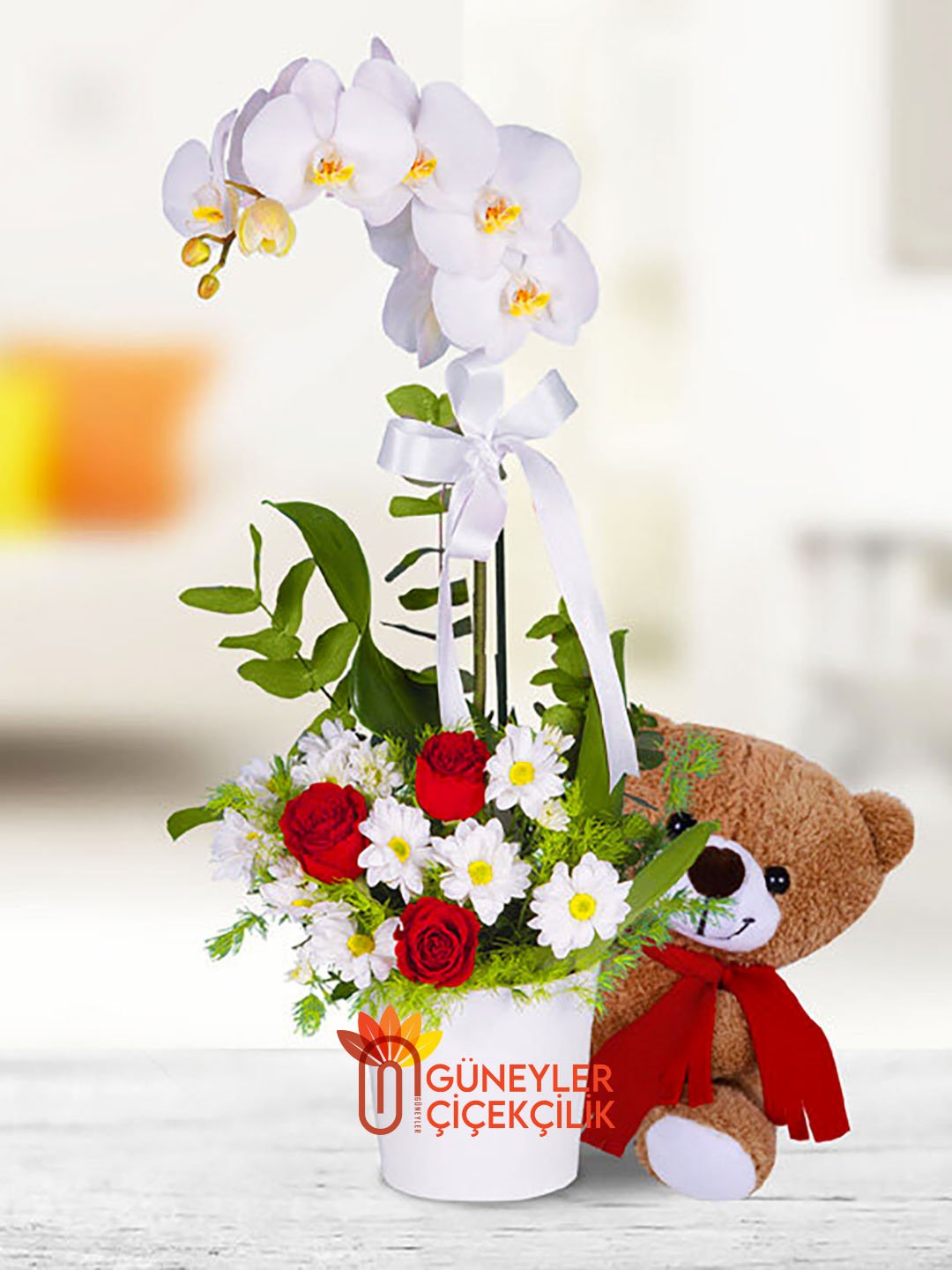 Arajmanlı Orkide + Ayı